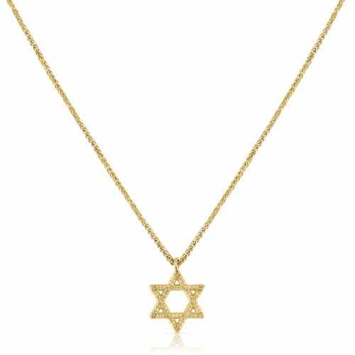 שרשרת מגן דוד מיוחדת עם עיטורי וינטאג׳